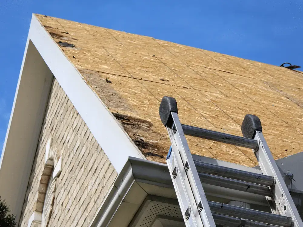 A metal ladder leans against a house with an exposed and partially damaged plywood roof, suggesting that a roof replacement is underway, all beneath a clear blue sky.